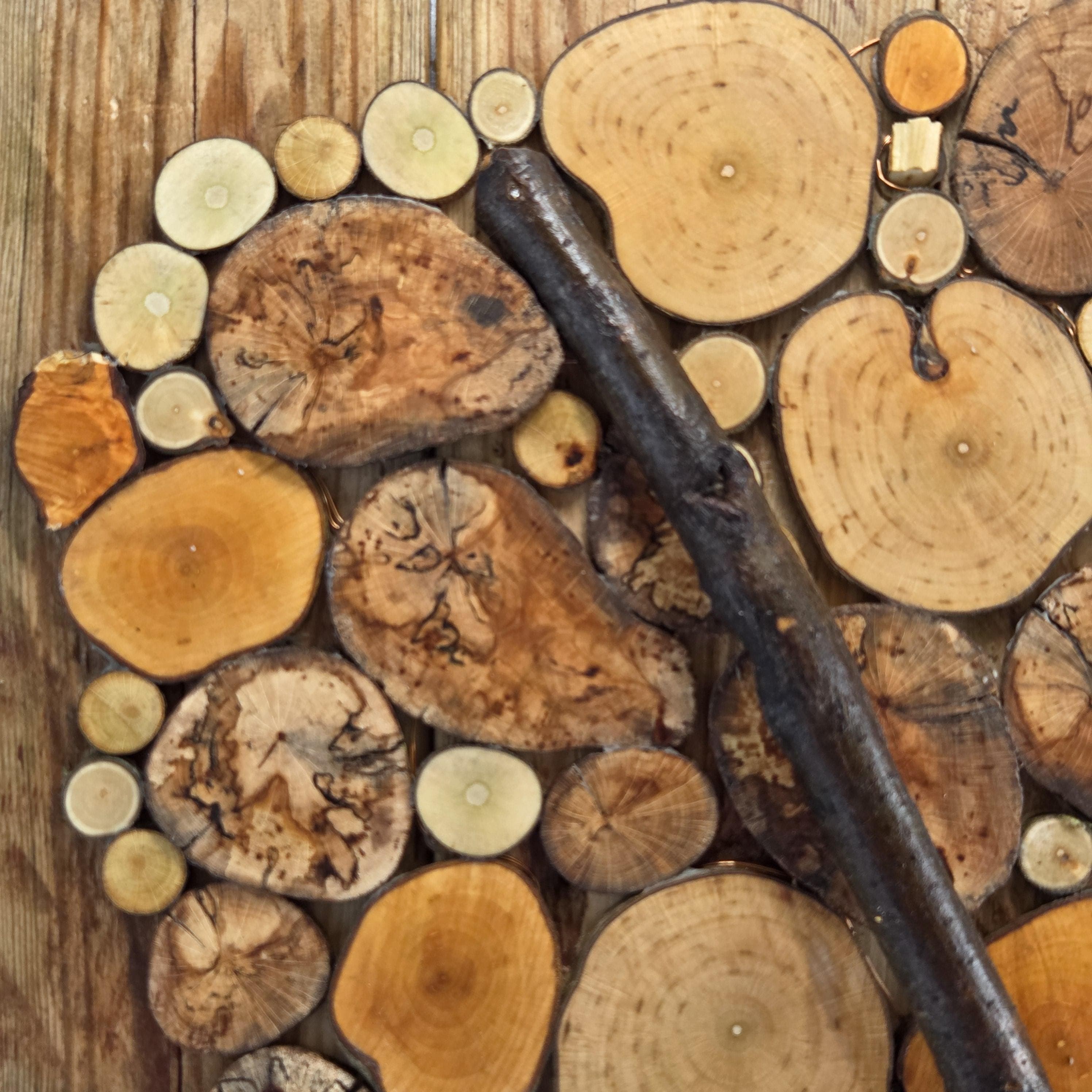 Log Wall Art, Handmade from Reclaimed Timber | Eco-Friendly Decor with Fairy Lights | Bough & Burrow