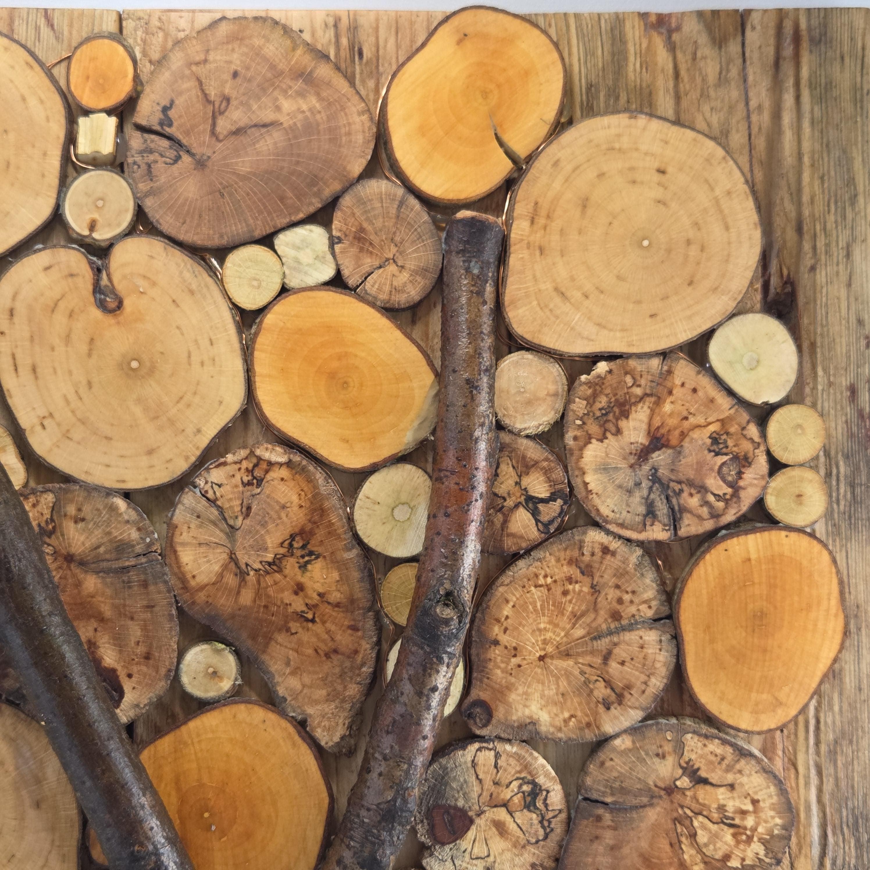 Log Wall Art, Handmade from Reclaimed Timber | Eco-Friendly Decor with Fairy Lights | Bough & Burrow