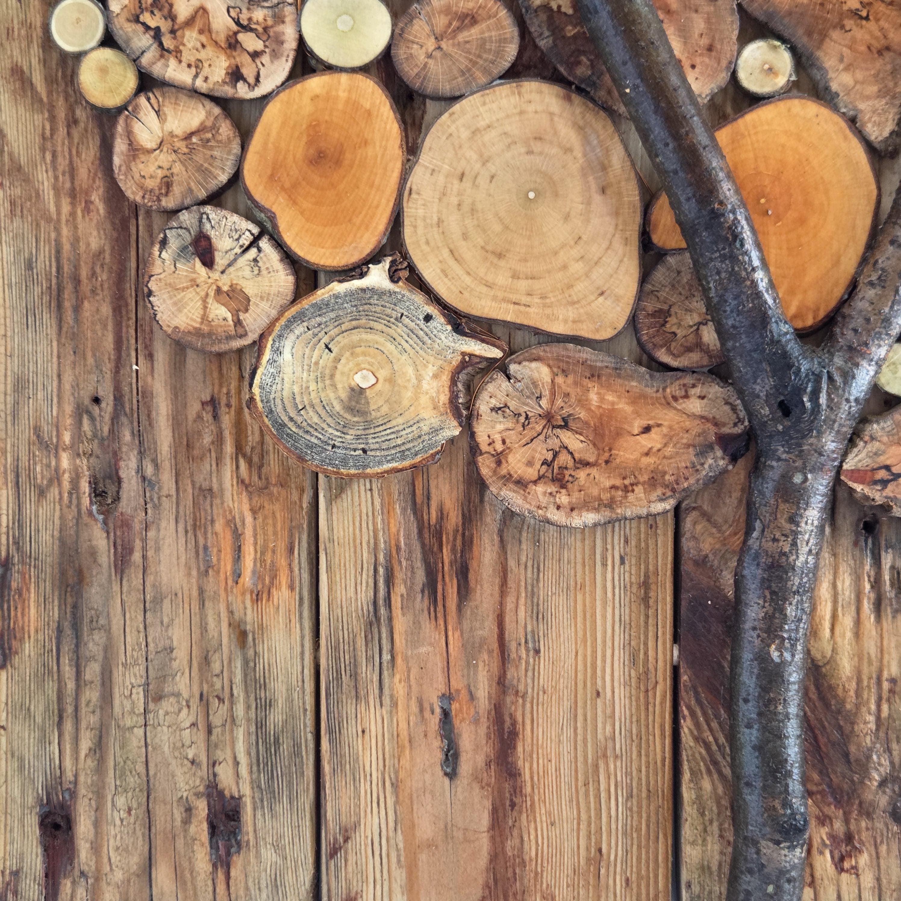 Log Wall Art, Handmade from Reclaimed Timber | Eco-Friendly Decor with Fairy Lights | Bough & Burrow