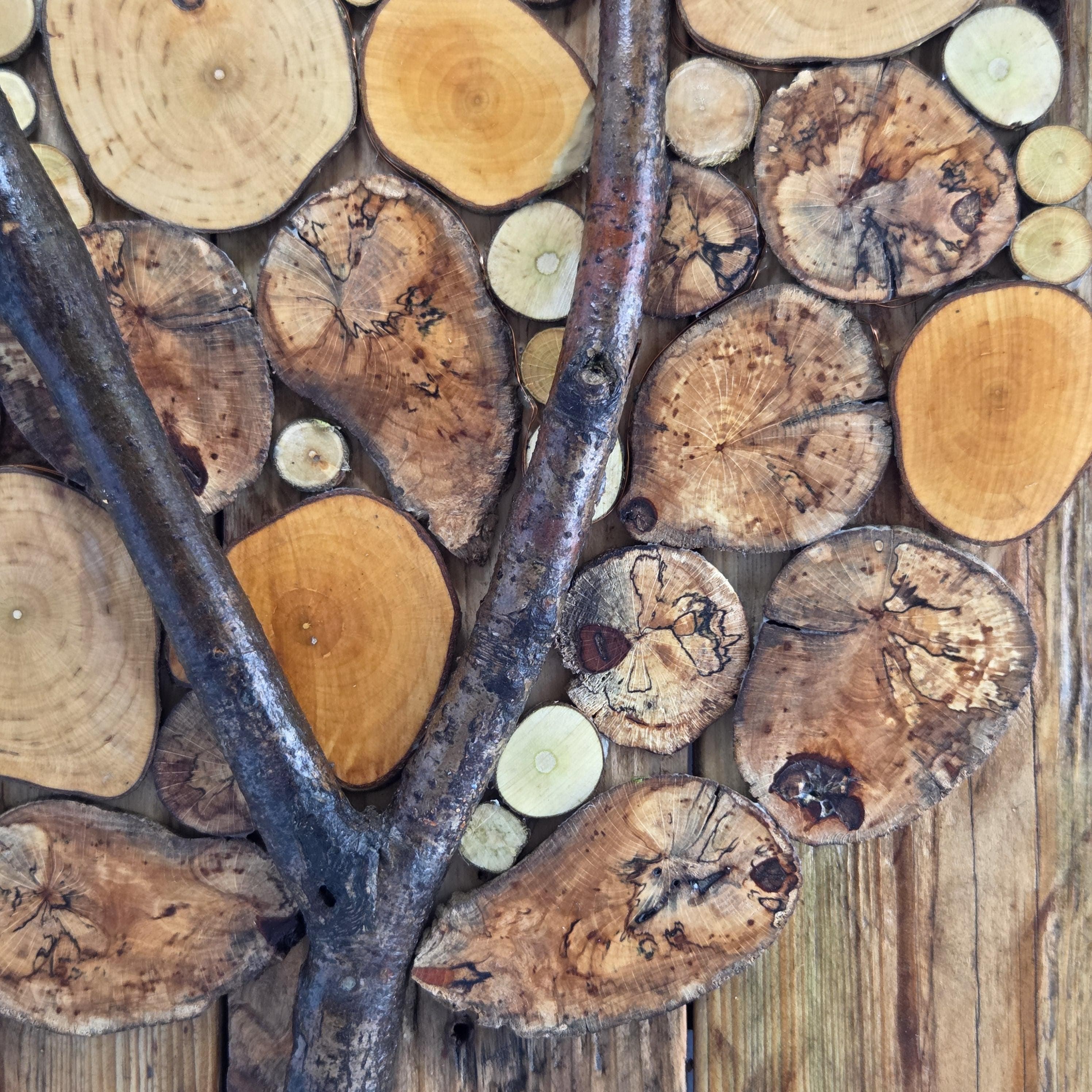 Log Wall Art, Handmade from Reclaimed Timber | Eco-Friendly Decor with Fairy Lights | Bough & Burrow