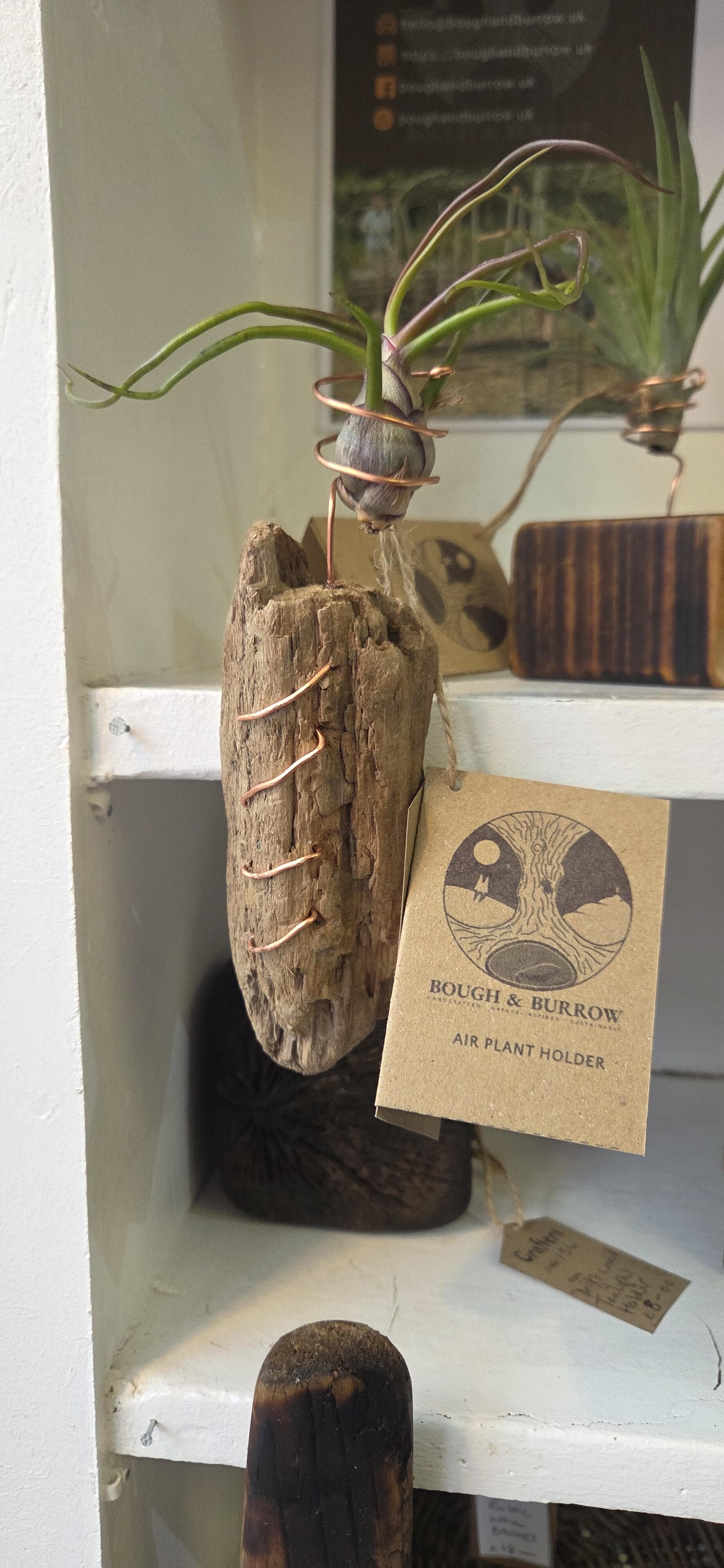 Driftwood Airplant Holder with Copper Wire, Driftwood, Copper, Copper Wire, made in Wotton-under-Edge, Gloucestershire, by Bough & Burrow - Main image