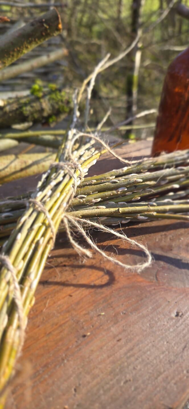Willow Shoot Bundle with Silver Buds, Willow, Willow, made in Wotton-under-Edge, Gloucestershire, by Bough & Burrow