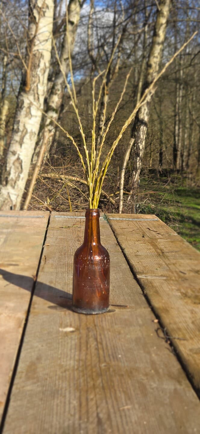Willow Shoot Bundle with Silver Buds, Willow, Willow, made in Wotton-under-Edge, Gloucestershire, by Bough & Burrow - View 2