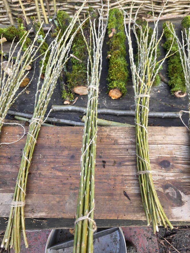 Willow Shoot Bundle with Silver Buds, Willow, Willow, made in Wotton-under-Edge, Gloucestershire, by Bough & Burrow - View 3