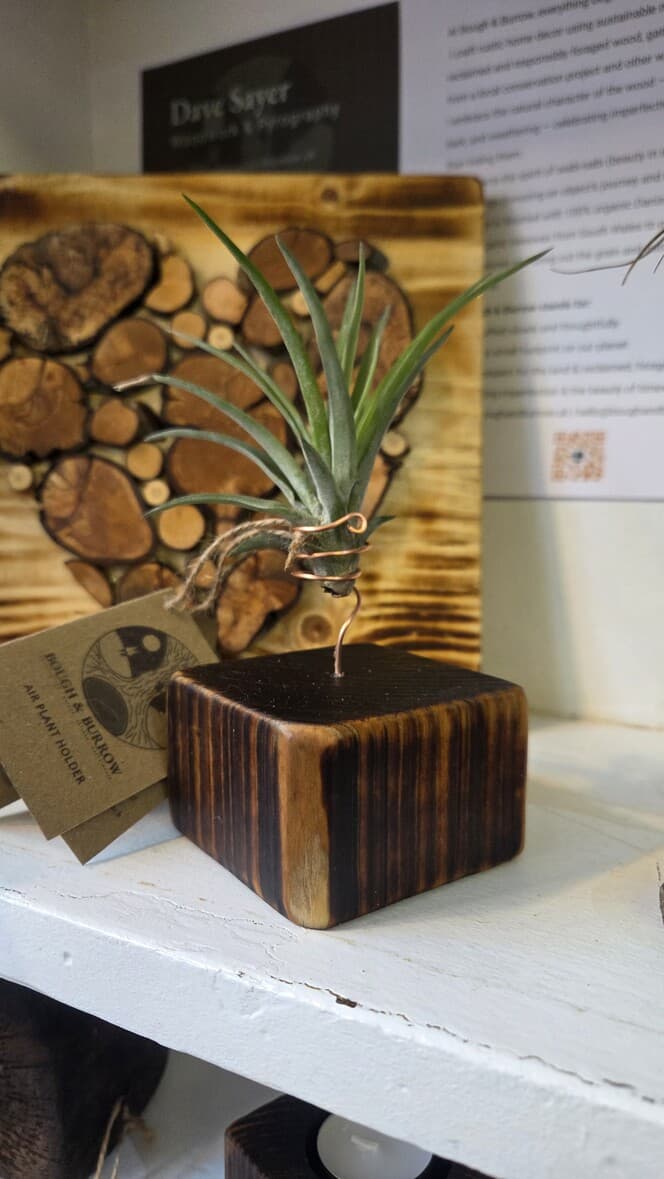 Reclaimed Wood Air Plant Holder (Small), Copper Wire, made in Wotton-under-Edge, Gloucestershire, by Bough & Burrow