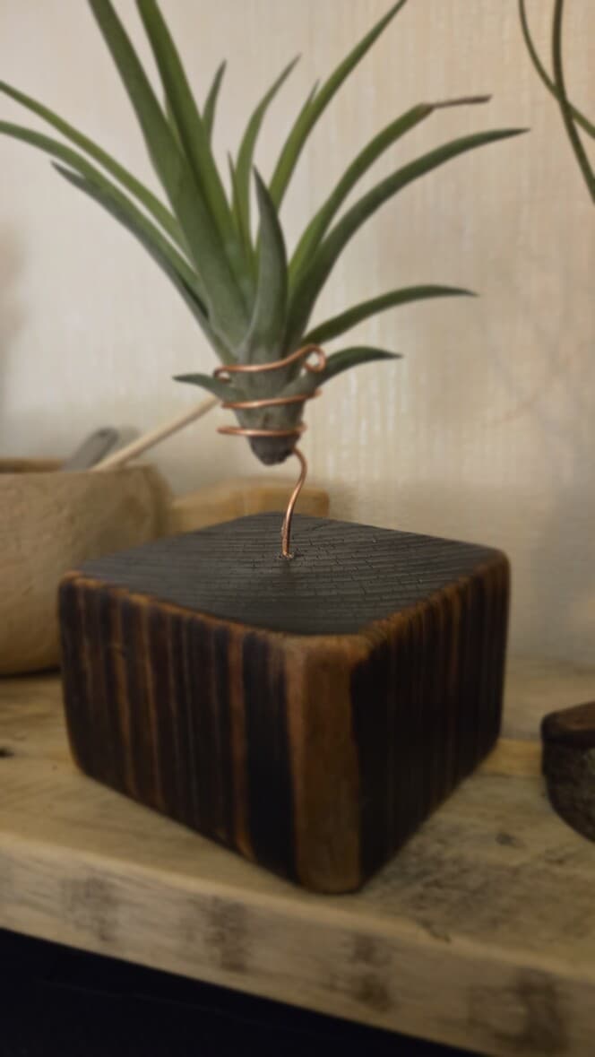 Reclaimed Wood Air Plant Holder (Small), Copper Wire, made in Wotton-under-Edge, Gloucestershire, by Bough & Burrow - View 2