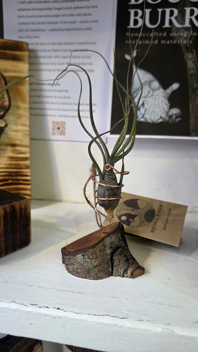 Hazel Wedge Air Plant Holder, Hazel, Copper Wire, made in Wotton-under-Edge, Gloucestershire, by Bough & Burrow - Main image