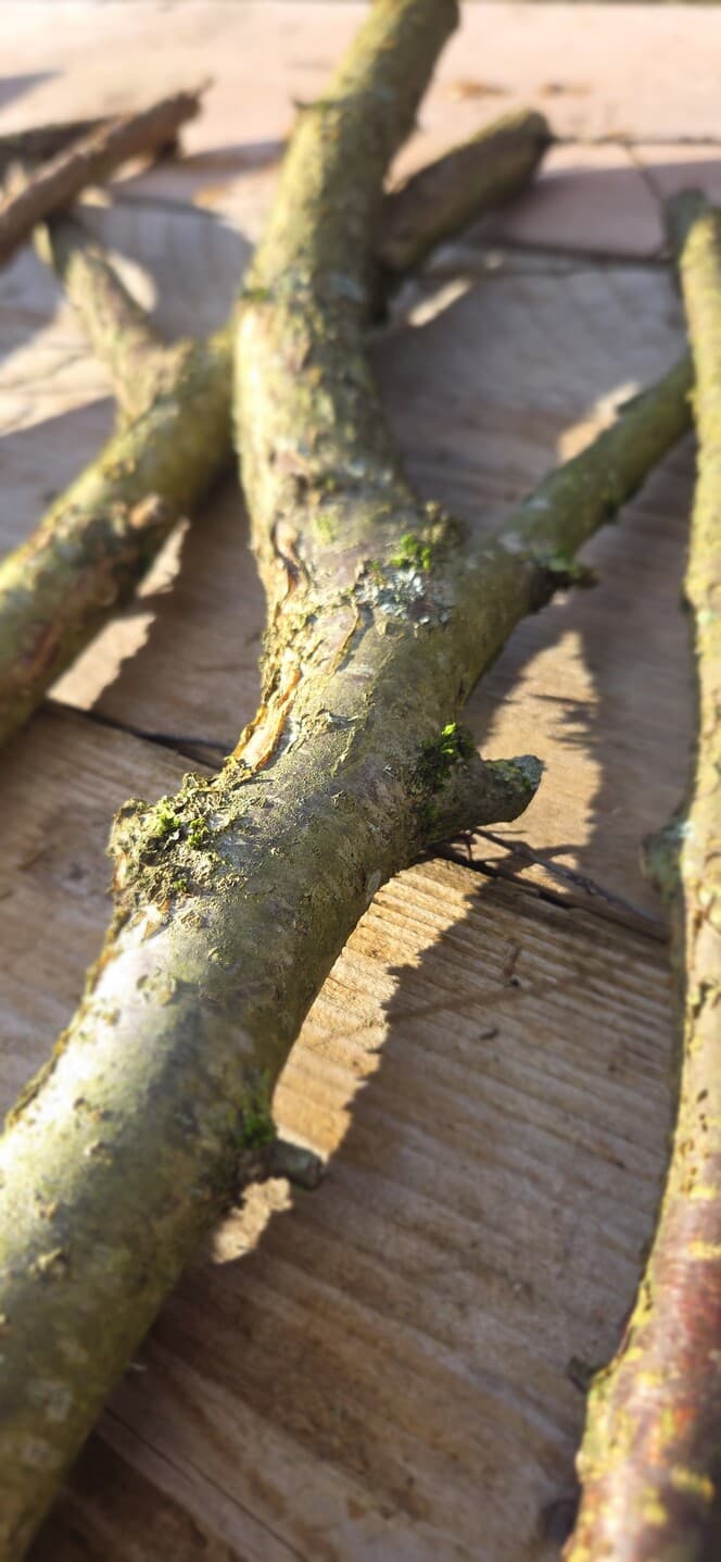 "Y" Shaped Stick Bundle: Mixed Species, Hazel, Willow, made in Wotton-under-Edge, Gloucestershire, by Bough & Burrow - View 6