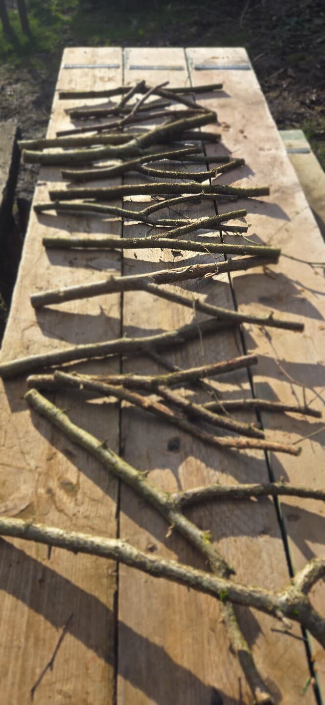 "Y" Shaped Stick Bundle: Mixed Species, Hazel, Willow, made in Wotton-under-Edge, Gloucestershire, by Bough & Burrow - View 11