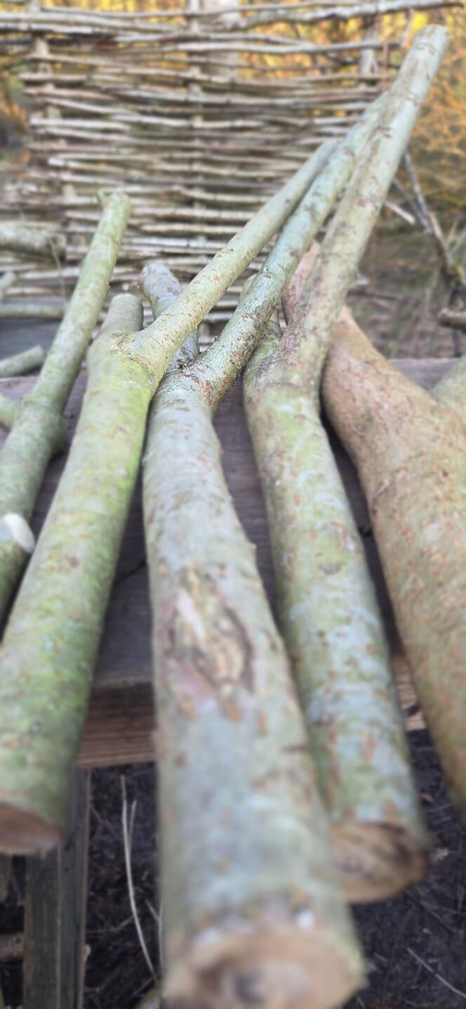 "Y" Shaped Stick Bundle: Mixed Species, Hazel, Willow, made in Wotton-under-Edge, Gloucestershire, by Bough & Burrow - View 10