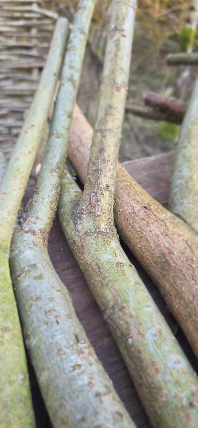 "Y" Shaped Stick Bundle, Willow, Hazel, made in Wotton-under-Edge, Gloucestershire, by Bough & Burrow - View 8