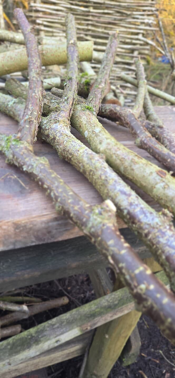 "Y" Shaped Stick Bundle, Willow, Hazel, made in Wotton-under-Edge, Gloucestershire, by Bough & Burrow - View 10