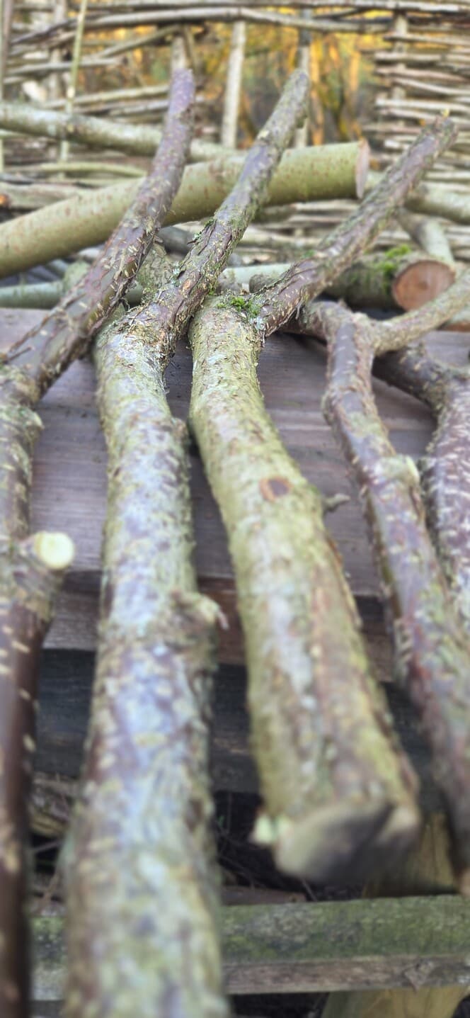 "Y" Shaped Stick Bundle, Willow, Hazel, made in Wotton-under-Edge, Gloucestershire, by Bough & Burrow - View 11