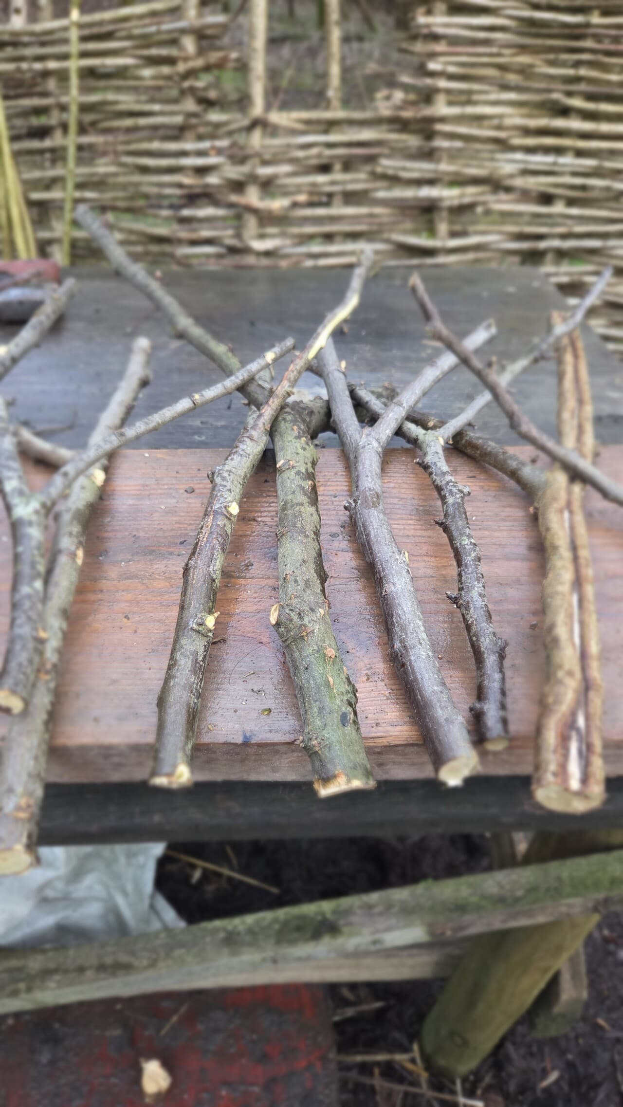 "Y" Shaped Stick Bundle, Willow, Hazel, made in Wotton-under-Edge, Gloucestershire, by Bough & Burrow
