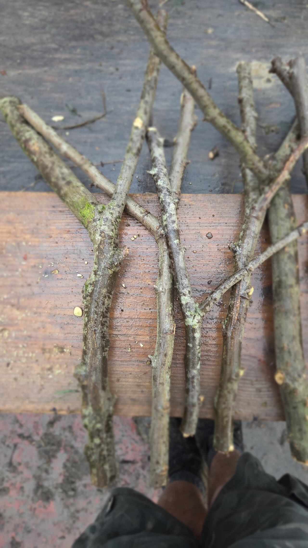 "Y" Shaped Stick Bundle, Willow, Hazel, made in Wotton-under-Edge, Gloucestershire, by Bough & Burrow - View 2