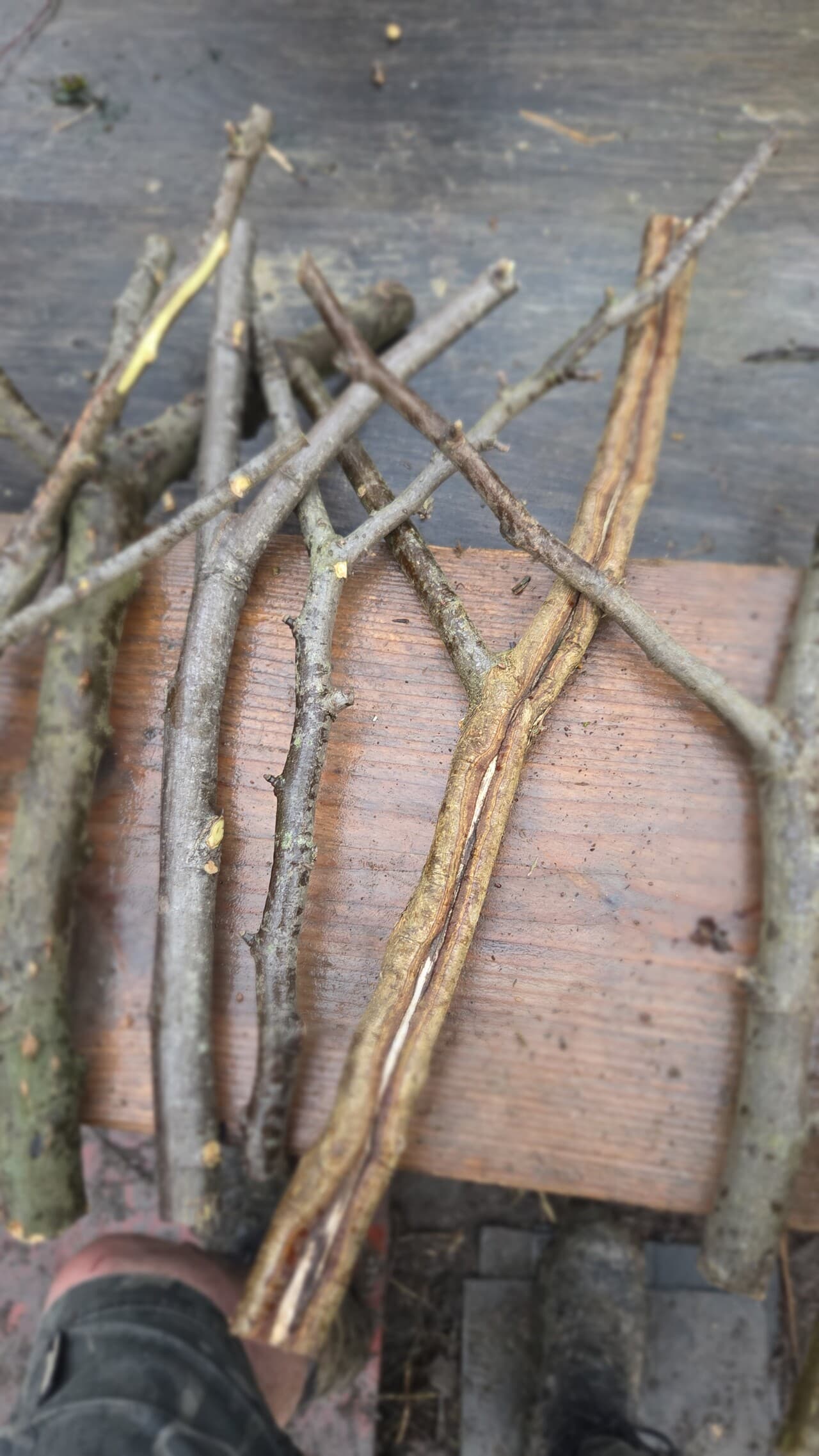 "Y" Shaped Stick Bundle, Willow, Hazel, made in Wotton-under-Edge, Gloucestershire, by Bough & Burrow - View 3
