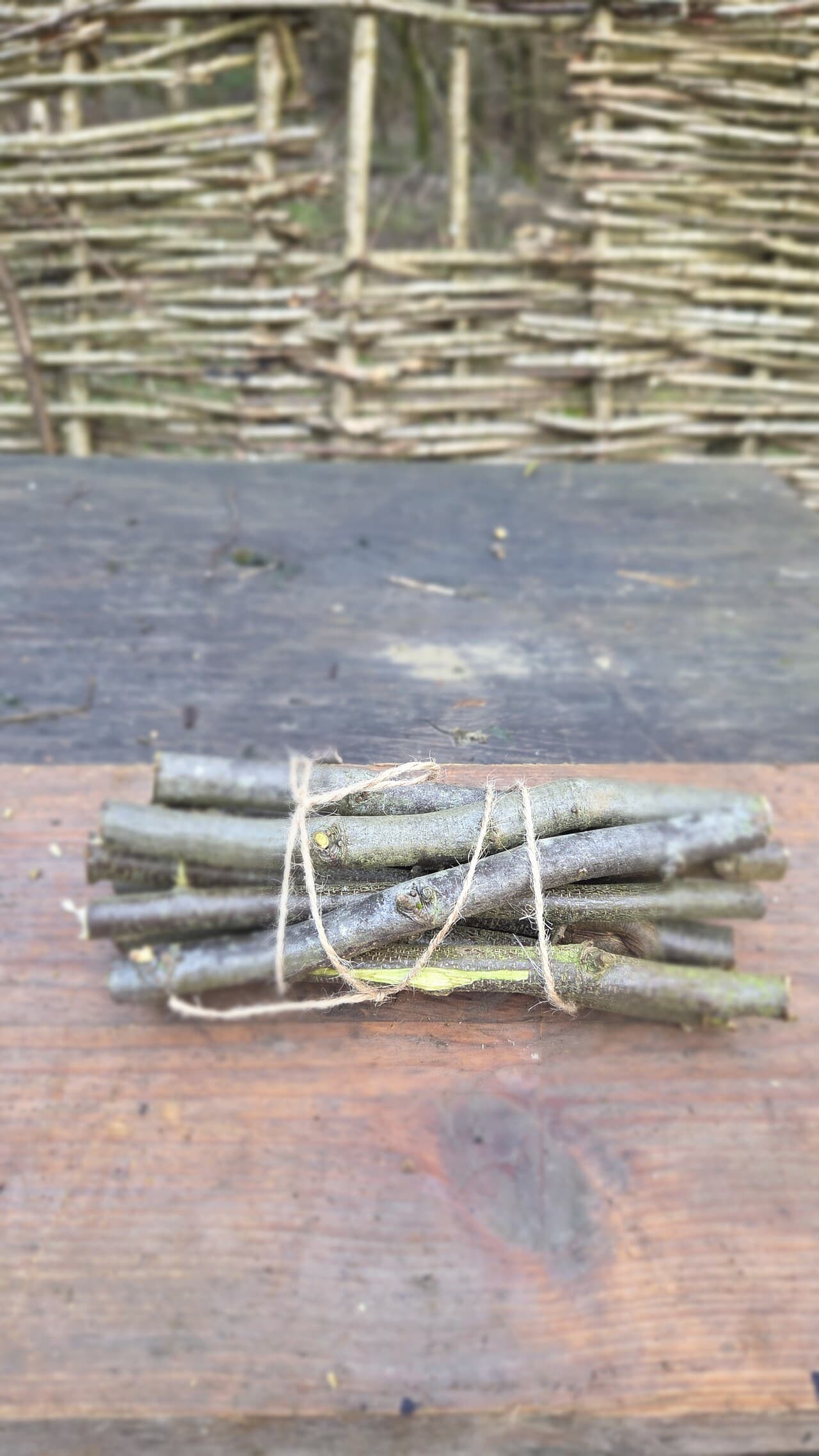 Stick Bundle, Willow, Hazel, made in Wotton-under-Edge, Gloucestershire, by Bough & Burrow - Main image