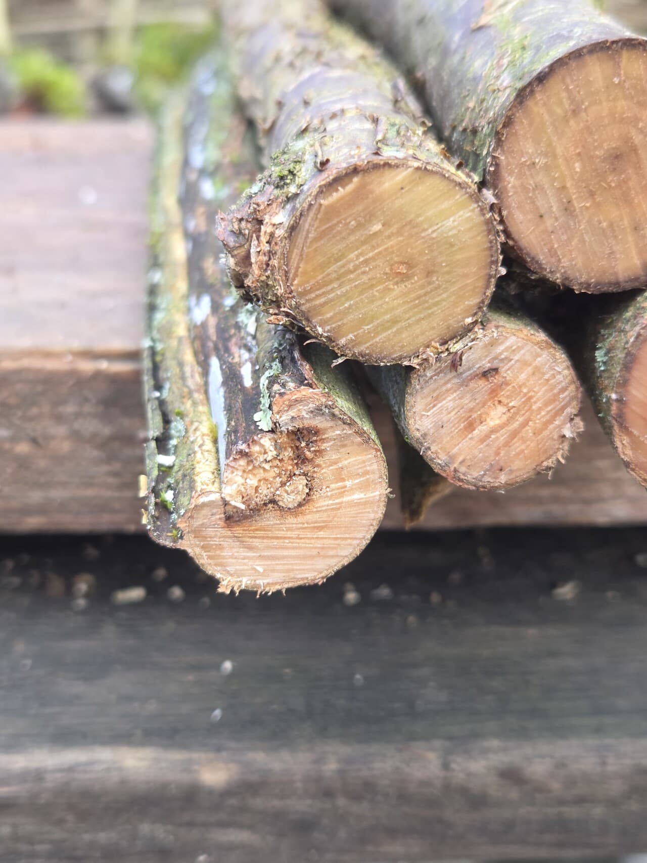 Stick Bundle, Willow, Hazel, made in Wotton-under-Edge, Gloucestershire, by Bough & Burrow - View 3