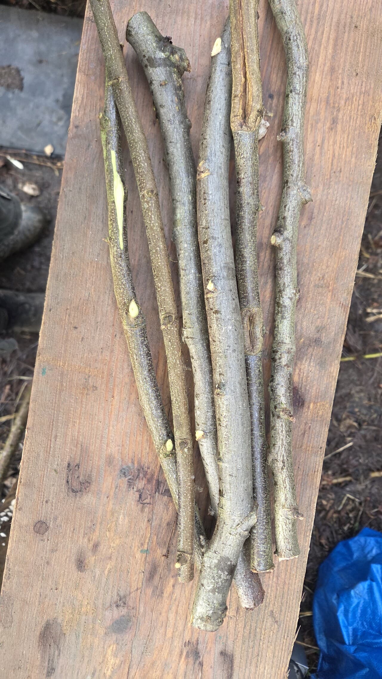 Stick Bundle, Willow, Hazel, made in Wotton-under-Edge, Gloucestershire, by Bough & Burrow - View 7