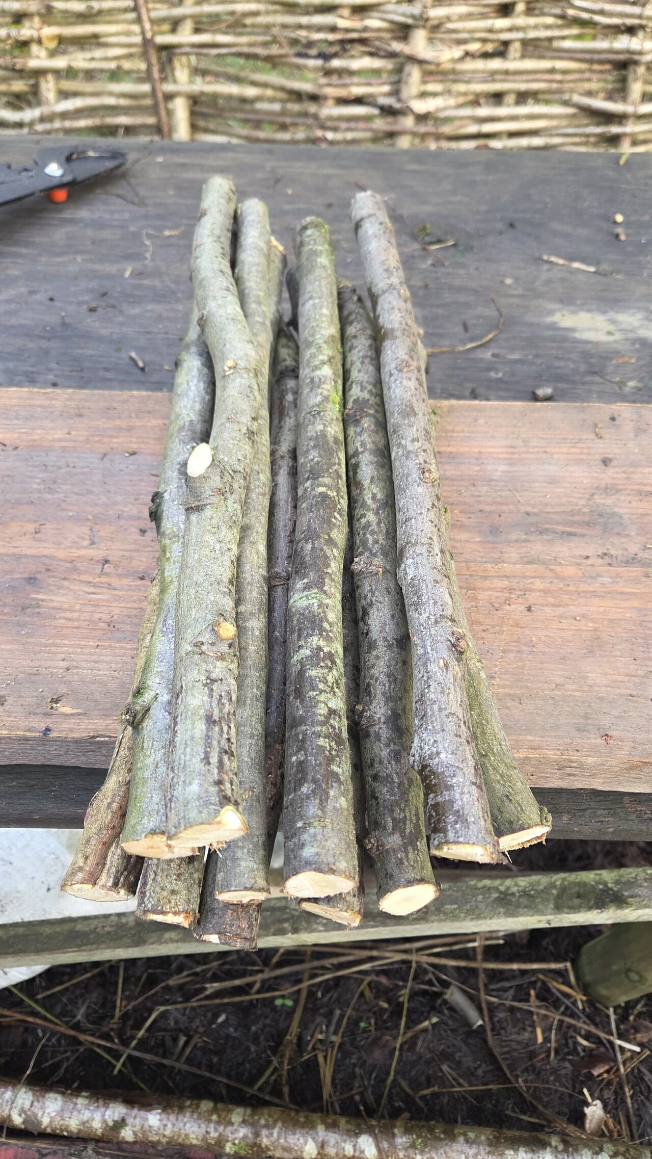 Stick Bundle, Willow, Hazel, made in Wotton-under-Edge, Gloucestershire, by Bough & Burrow - View 8