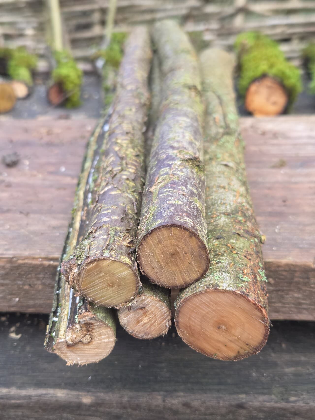 Stick Bundle, Willow, Hazel, made in Wotton-under-Edge, Gloucestershire, by Bough & Burrow - View 4