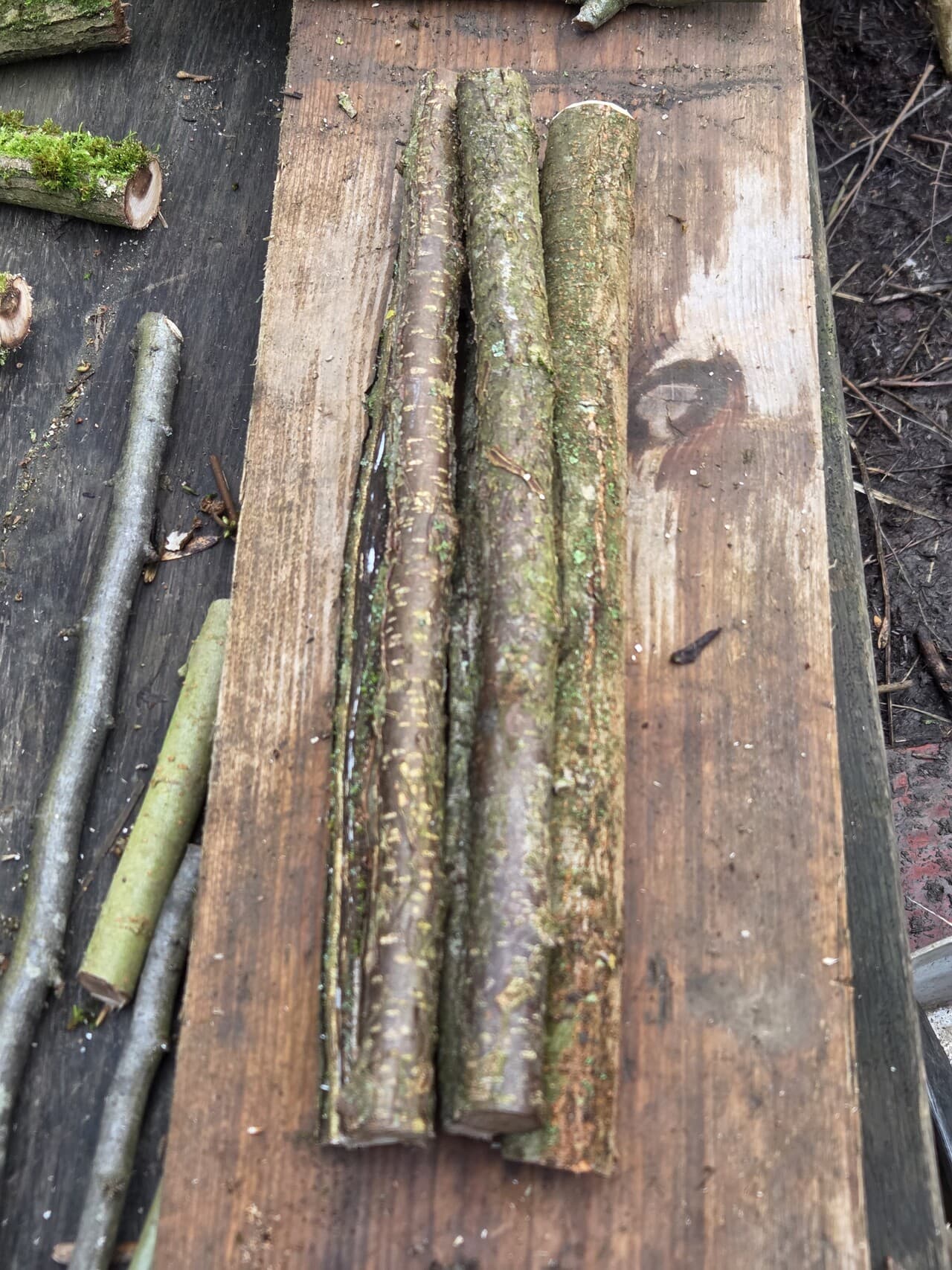 Stick Bundle, Willow, Hazel, made in Wotton-under-Edge, Gloucestershire, by Bough & Burrow - View 9