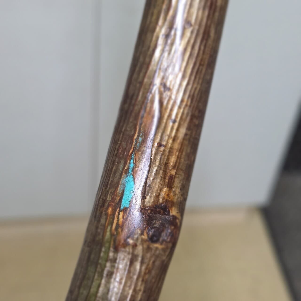 Twisted Hazel Walking Stick with Copper & Turquoise Inlay | HS-002, Commission, made in Wotton-under-Edge, Gloucestershire, by Bough & Burrow - View 8