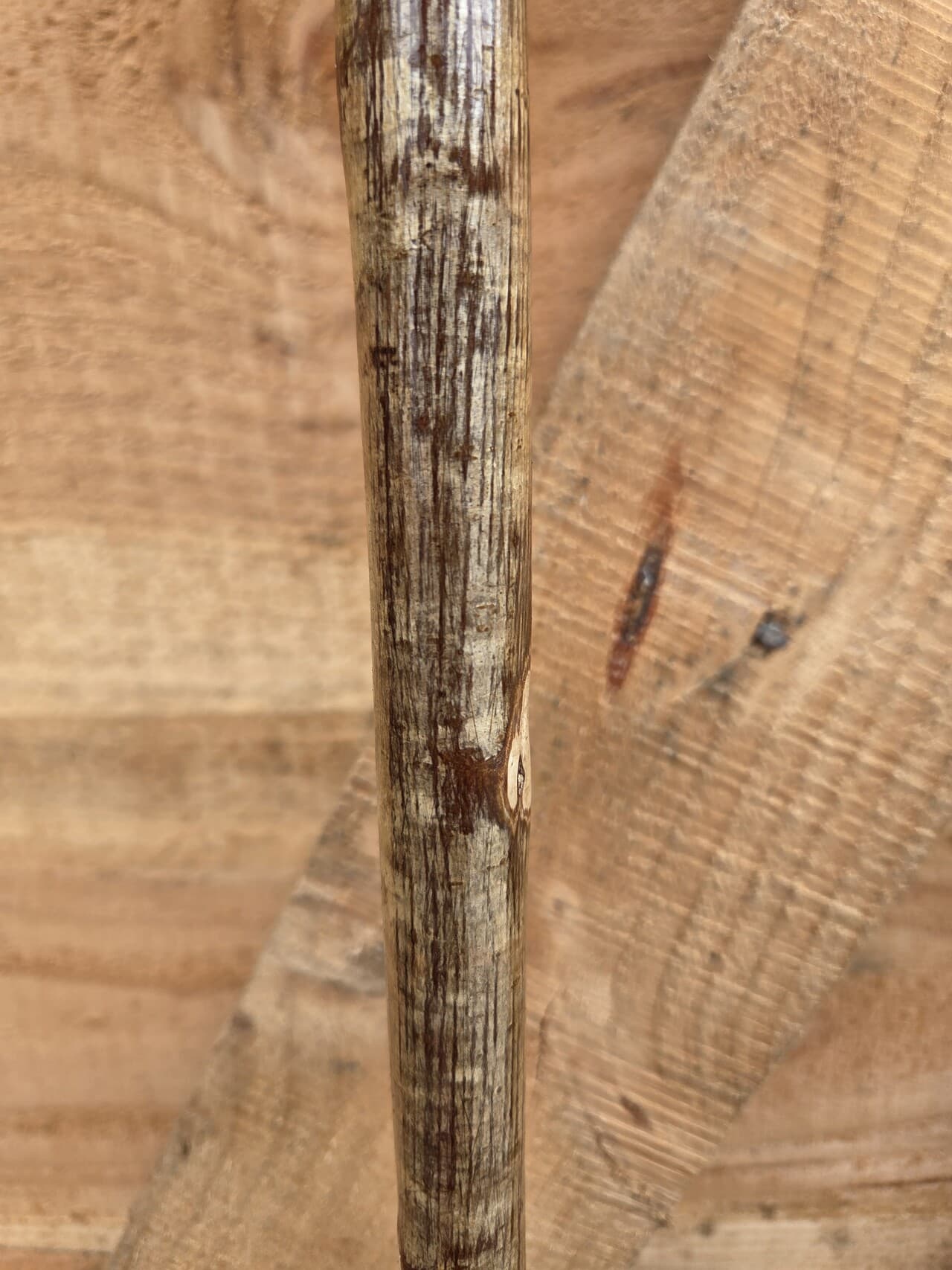 Slender Hazel Hiking Stick | HS-004, Hazel, made in Wotton-under-Edge, Gloucestershire, by Bough & Burrow - View 4
