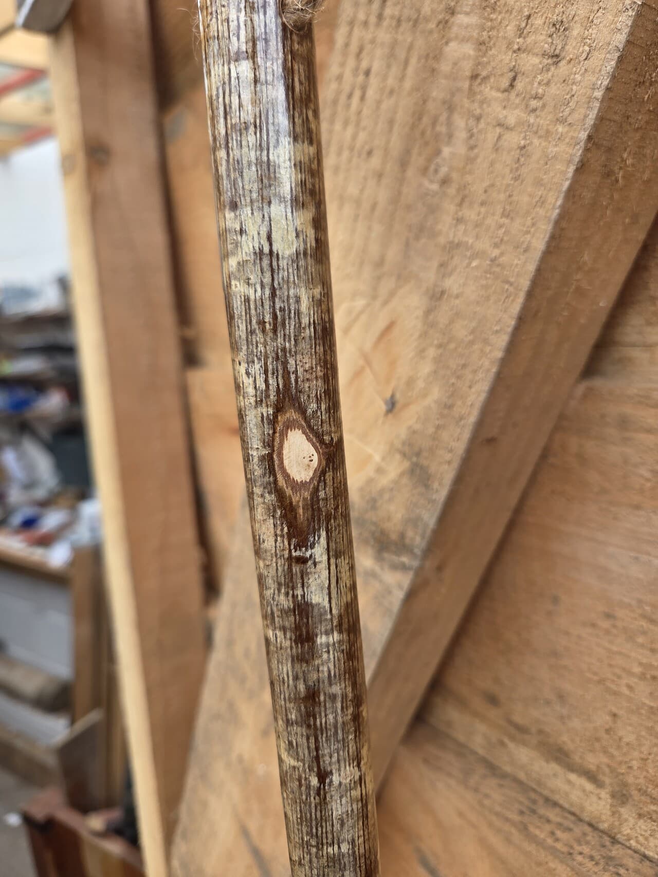Slender Hazel Hiking Stick | HS-004, Hazel, made in Wotton-under-Edge, Gloucestershire, by Bough & Burrow - View 5