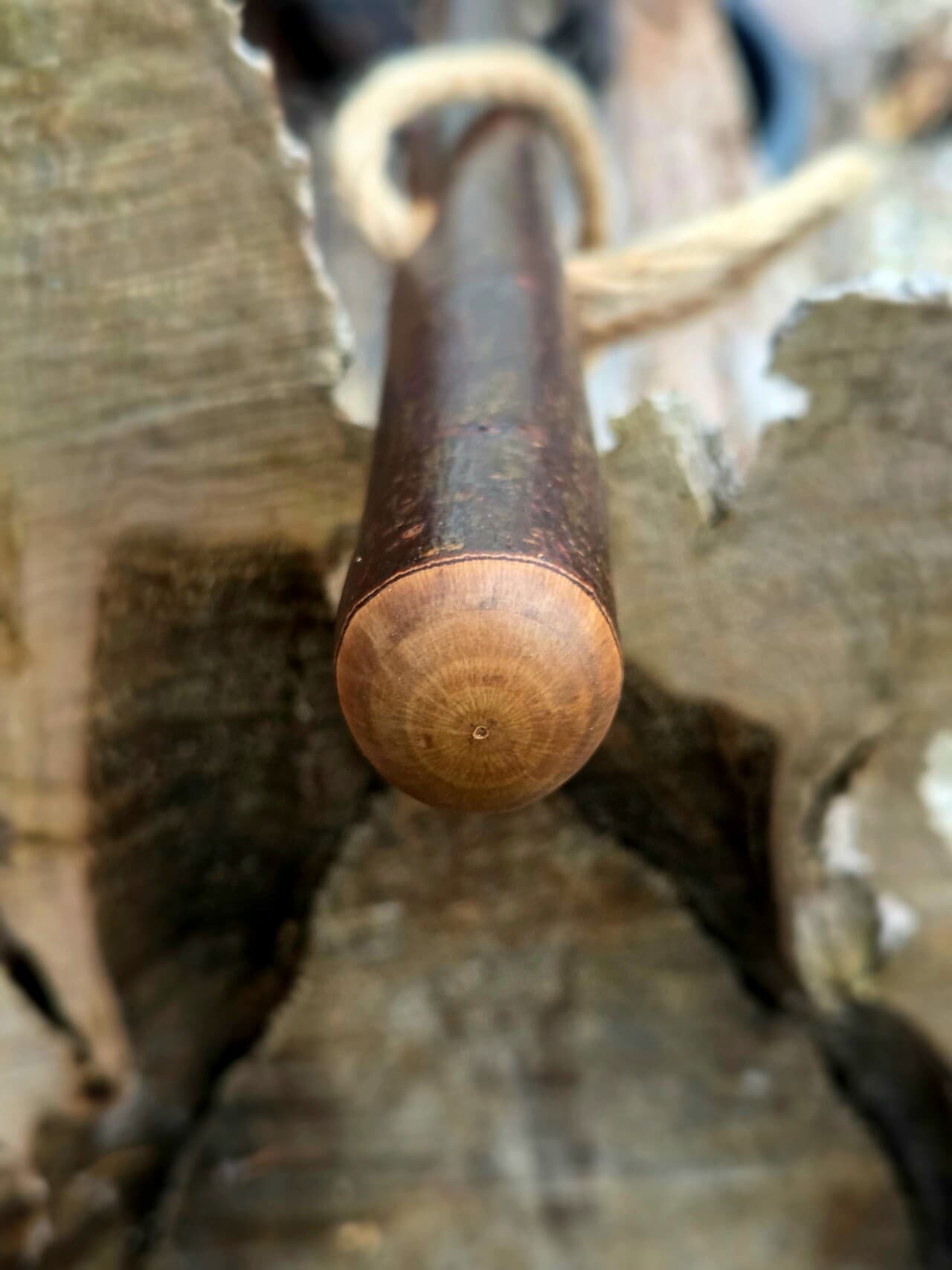 Hiking Stick with Fuchsite Mica Filed Knot | HS-008, Hazel, made in Wotton-under-Edge, Gloucestershire, by Bough & Burrow - View 2