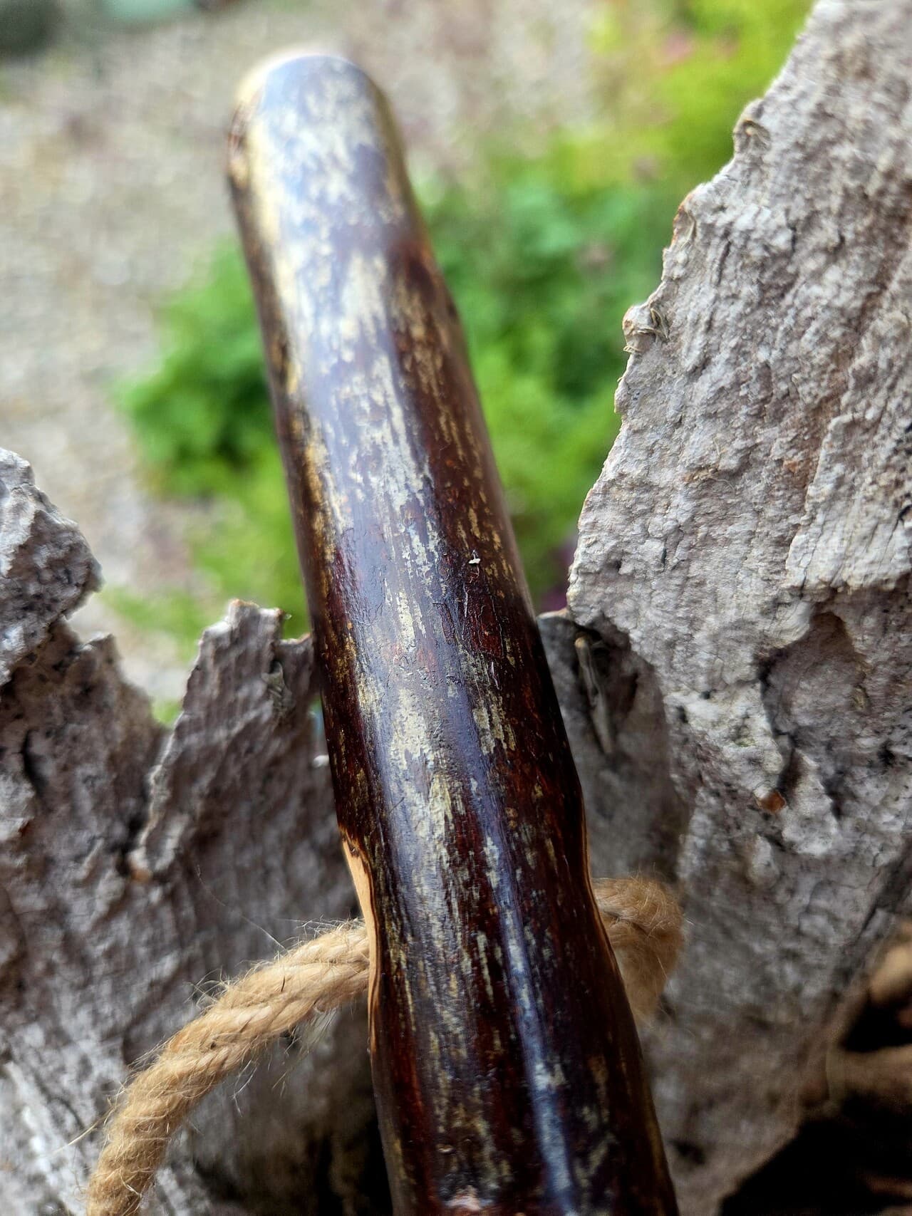 Hiking Stick with Fuchsite Mica Filed Knot | HS-008, Hazel, made in Wotton-under-Edge, Gloucestershire, by Bough & Burrow - View 11